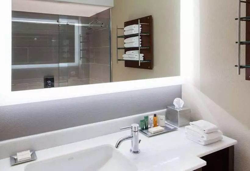 シングルデラックスルーム, Hilton Clearwater Beach Resort & Spa