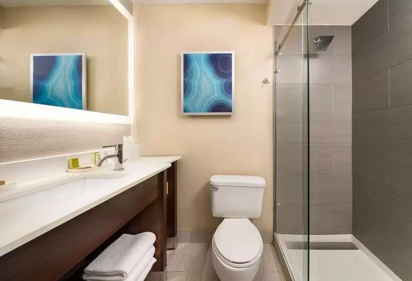 スタンダードインサイドビュールーム, Hilton Clearwater Beach Resort & Spa