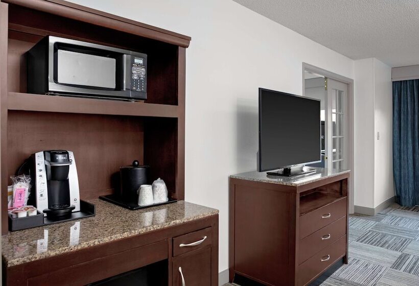 Номер Стандарт, Hilton Garden Inn Atlanta Perimeter Center