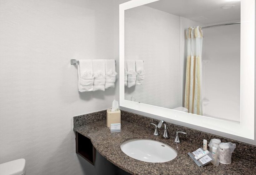 주니어 스위트, Hilton Garden Inn Atlanta Perimeter Center
