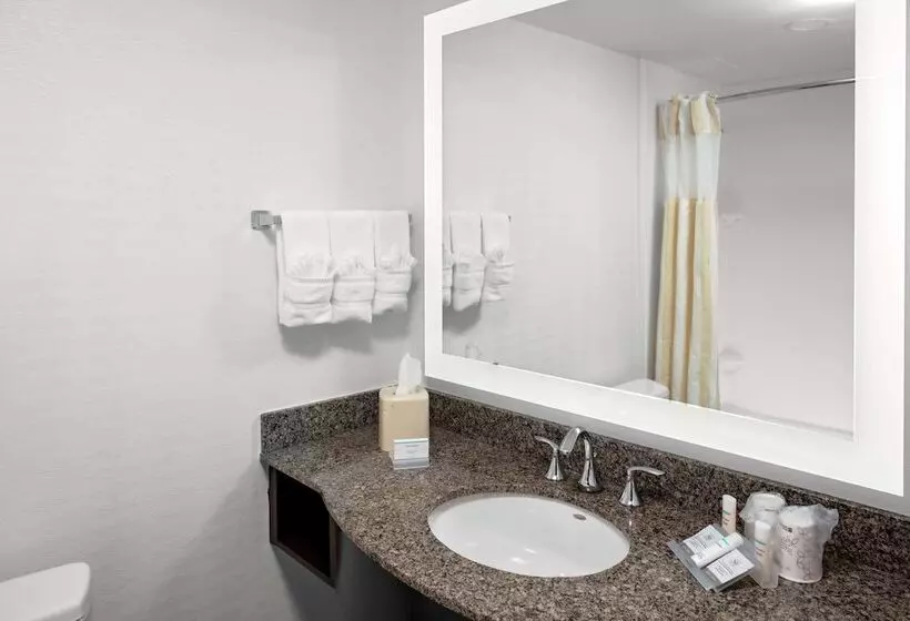 ジュニアスイート, Hilton Garden Inn Atlanta Perimeter Center
