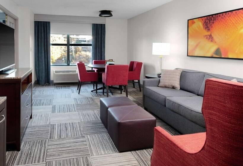 Полулюкс, Hilton Garden Inn Atlanta Perimeter Center