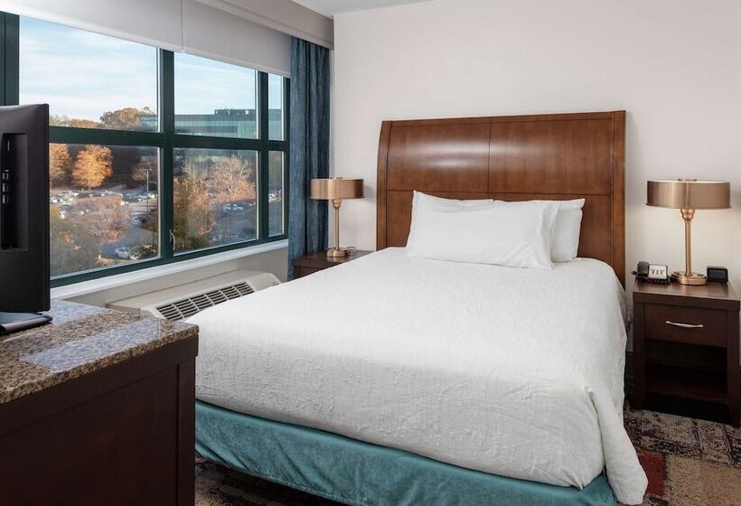 주니어 스위트, Hilton Garden Inn Atlanta Perimeter Center