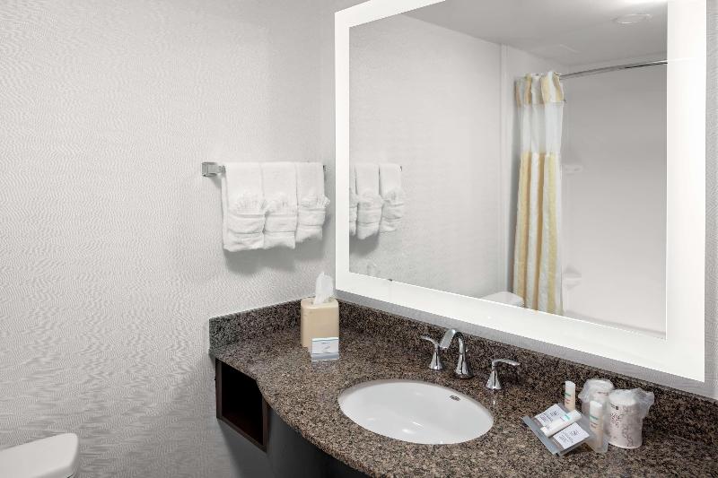 Стандартный Номер Кровать Кинг, Hilton Garden Inn Atlanta Perimeter Center