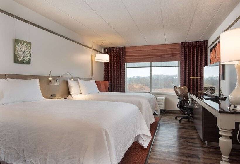 스탠다드 룸 더블 침대 2개, Hilton Garden Inn Owings Mills