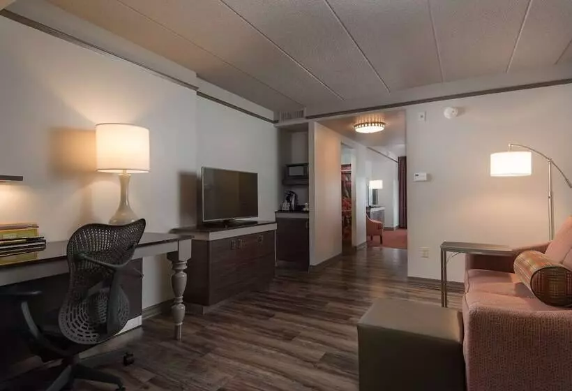 キングサイズベッドのスイートルーム, Hilton Garden Inn Owings Mills