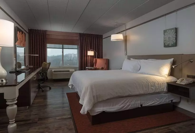キングサイズベッドのスイートルーム, Hilton Garden Inn Owings Mills