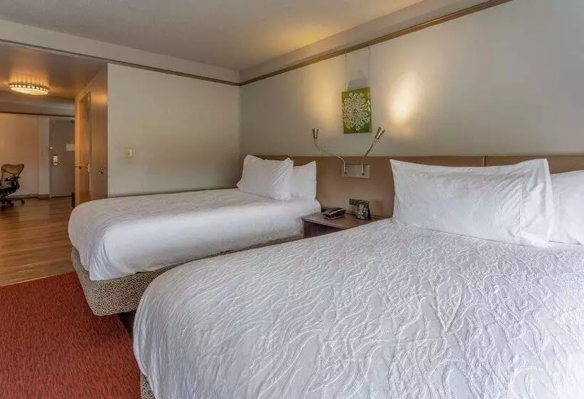 スイート, Hilton Garden Inn Owings Mills