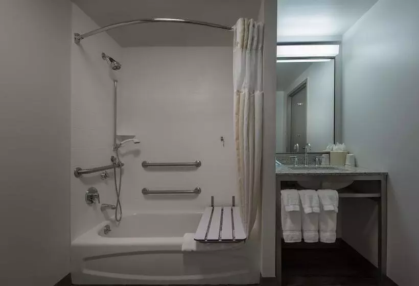 身障者適用スイートルーム, Hilton Garden Inn Owings Mills