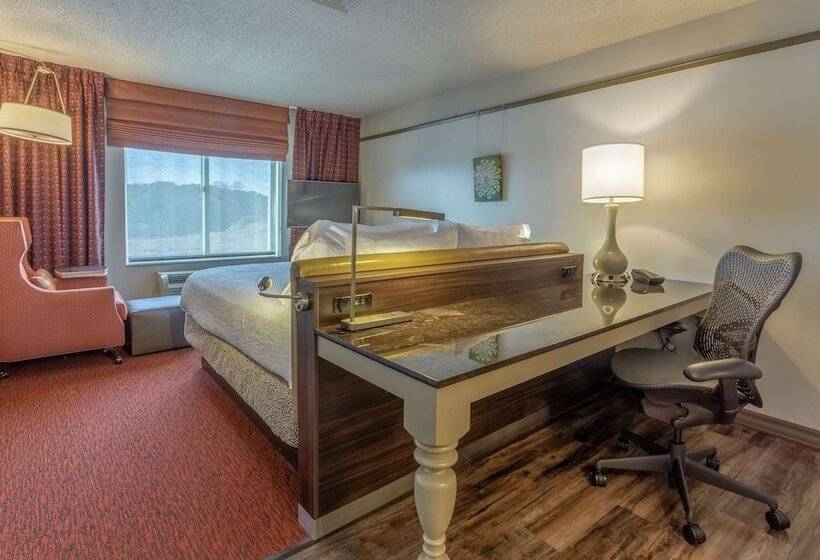 غرفة بريميوم, Hilton Garden Inn Owings Mills
