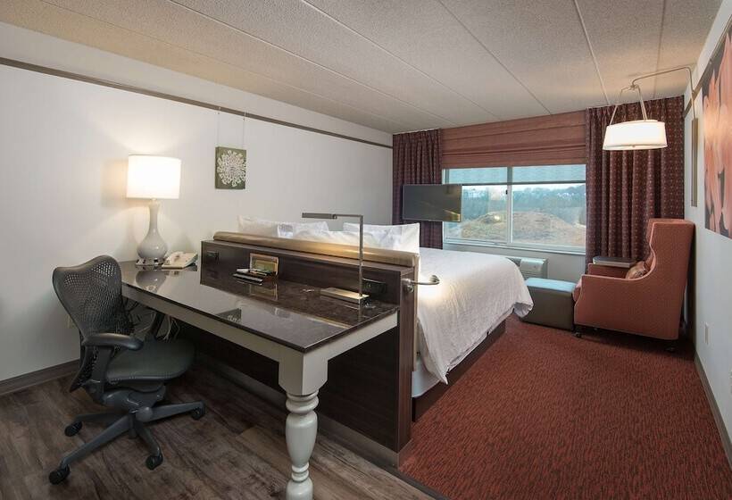 프리미엄 룸, Hilton Garden Inn Owings Mills
