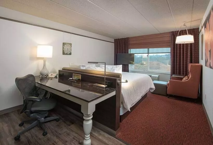 プレミアムルーム, Hilton Garden Inn Owings Mills