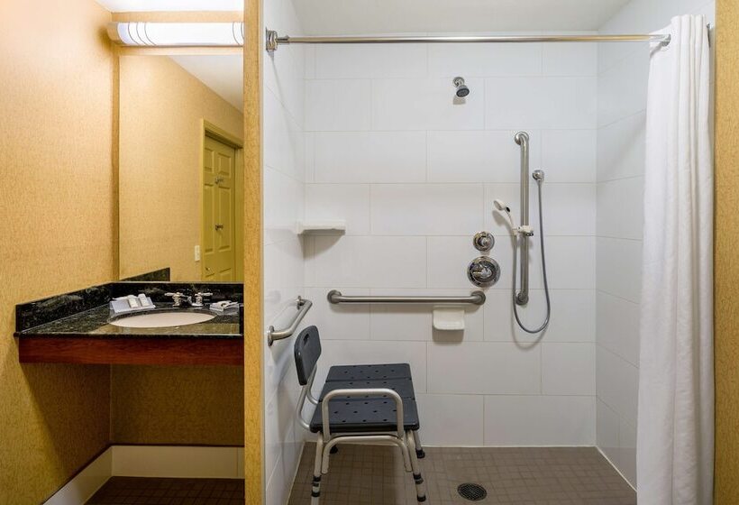 غرفة قياسية لذوى الاحتياجات الخاصة, Hilton Garden Inn Colorado Springs North