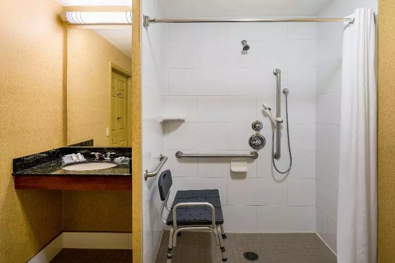 اتاق استاندارد با تخت بزرگ, Hilton Garden Inn Colorado Springs North