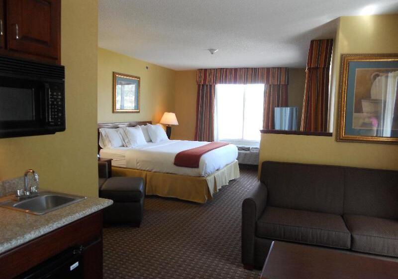 适合残疾人士使用的带超级大床的标准间, Hilton Garden Inn Colorado Springs North