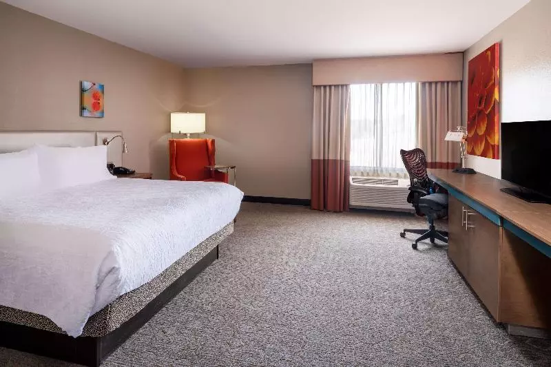 اتاق استاندارد با تخت بزرگ, Hilton Garden Inn Colorado Springs North