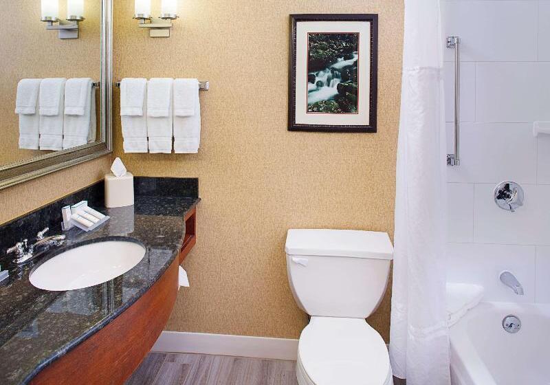 غرفة قياسية سرير كينج, Hilton Garden Inn Colorado Springs North