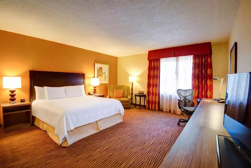 キングサイズベッドのスタンダードルーム, Hilton Garden Inn Tampa Ybor Historic District
