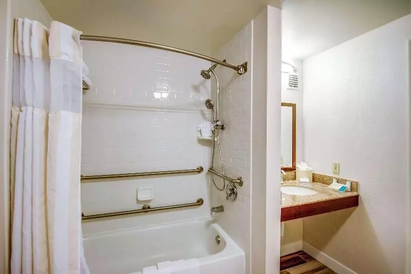 キングサイズベッドのスタンダードルーム, Hilton Garden Inn Tampa Ybor Historic District