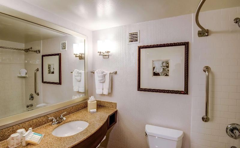 חדר סטנדרט עם מיטת קינג, Hilton Garden Inn Tampa Ybor Historic District