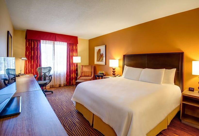 غرفة قياسية, Hilton Garden Inn Tampa Ybor Historic District