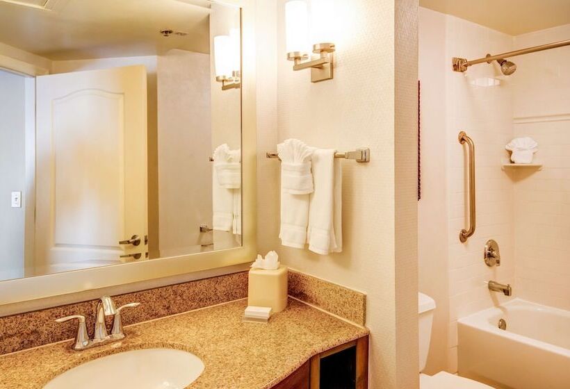 חדר סטנדרט, Hilton Garden Inn Tampa Ybor Historic District