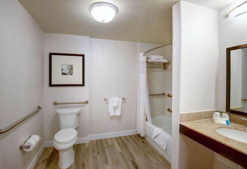 غرفة قياسية, Hilton Garden Inn Tampa Ybor Historic District