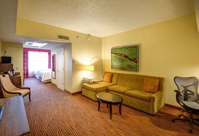סוויטה, Hilton Garden Inn Tampa Ybor Historic District