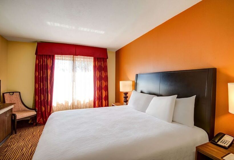 جناح, Hilton Garden Inn Tampa Ybor Historic District