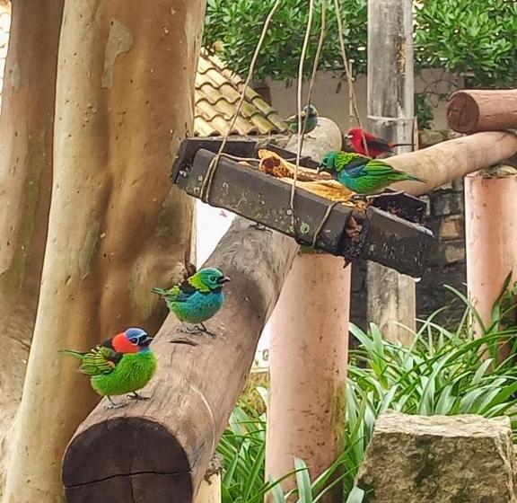 اتاق استاندارد چهار تخته با چشم‌انداز دریا, Suites Brilho Do Sol