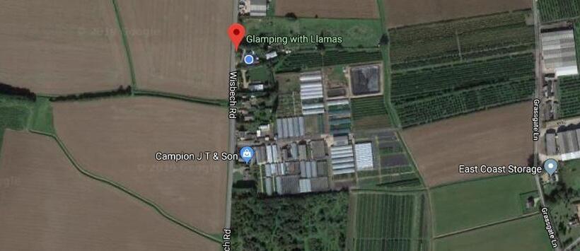 Standard Tent, Glamping With Llamas