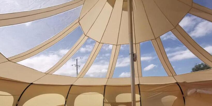 Standard Tent, Glamping With Llamas