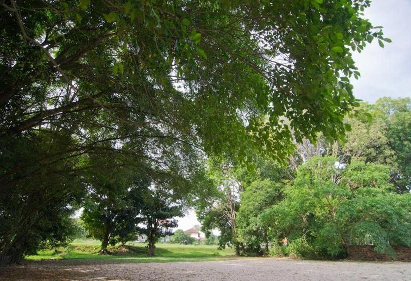 Номер Стандарт Трехместный, Mydream Homestay