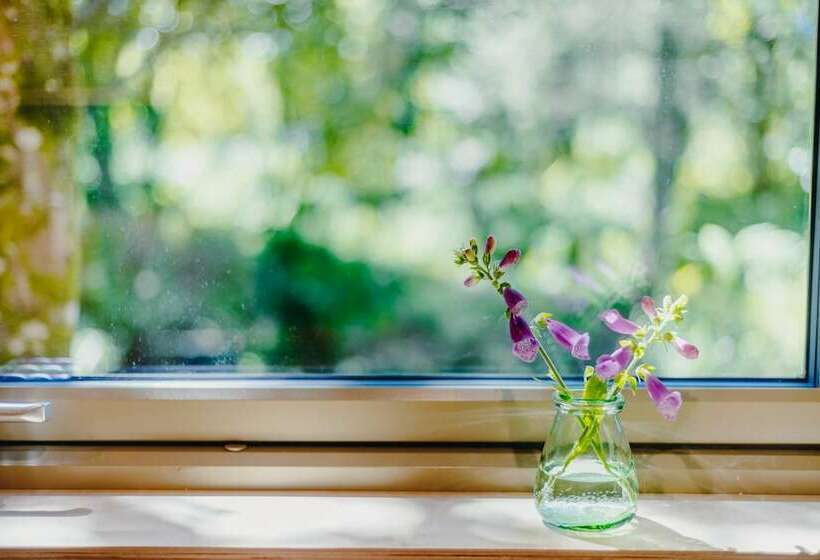 오두막, Trecombe Lakes