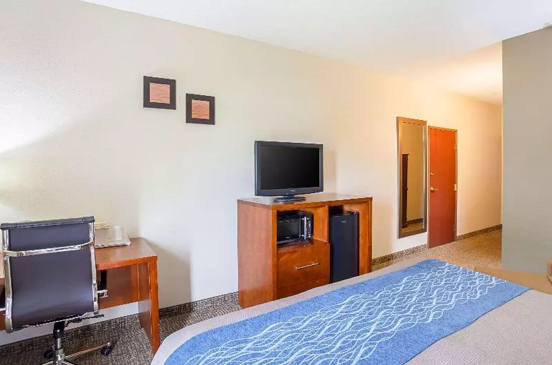 اتاق استاندارد با تخت بزرگ, Comfort Inn Lincoln I 80