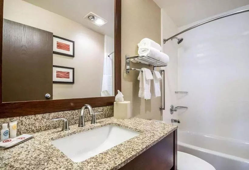 Standard-huone King-vuode, Comfort Inn Ottawa Starved Rock Area