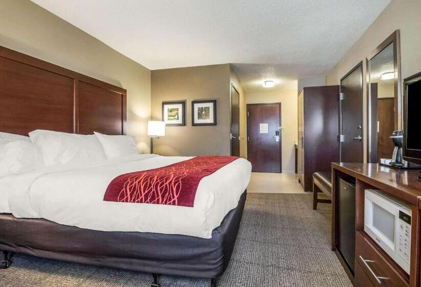 스탠다드 룸 킹사이즈 침대, Comfort Inn Ottawa Starved Rock Area