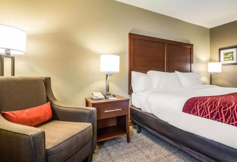 Standard-huone King-vuode, Comfort Inn Ottawa Starved Rock Area