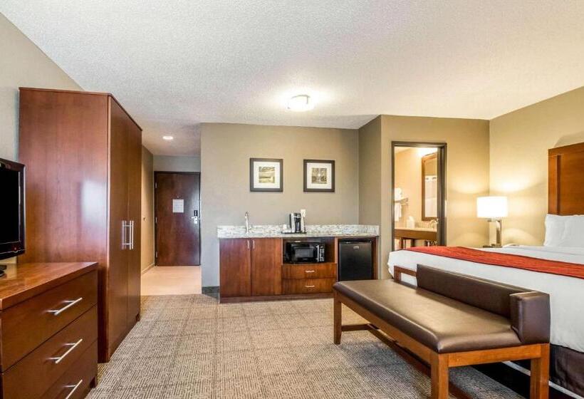 キングサイズベッドのスタンダードルーム, Comfort Inn Ottawa Starved Rock Area