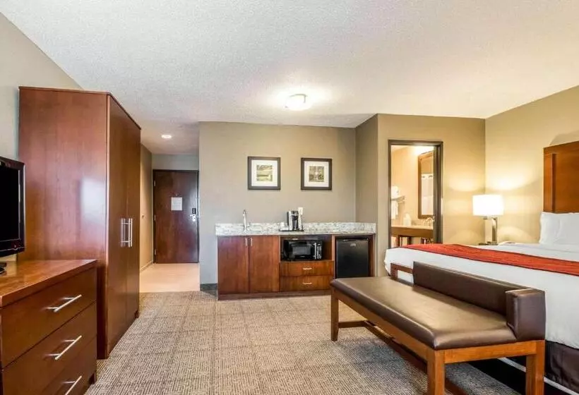 Standard-huone King-vuode, Comfort Inn Ottawa Starved Rock Area