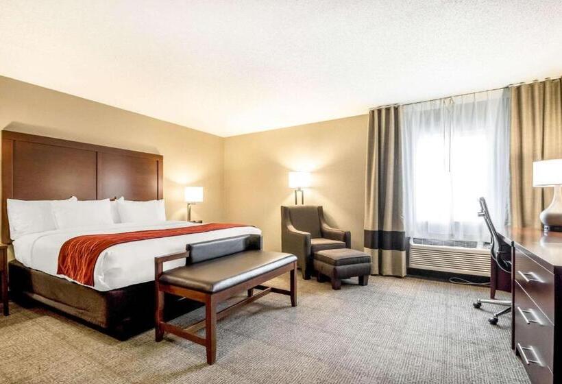 스탠다드 룸 킹사이즈 침대, Comfort Inn Ottawa Starved Rock Area