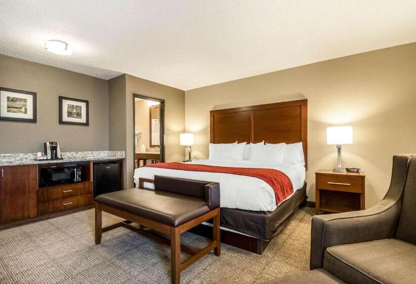 キングサイズベッドのスタンダードルーム, Comfort Inn Ottawa Starved Rock Area