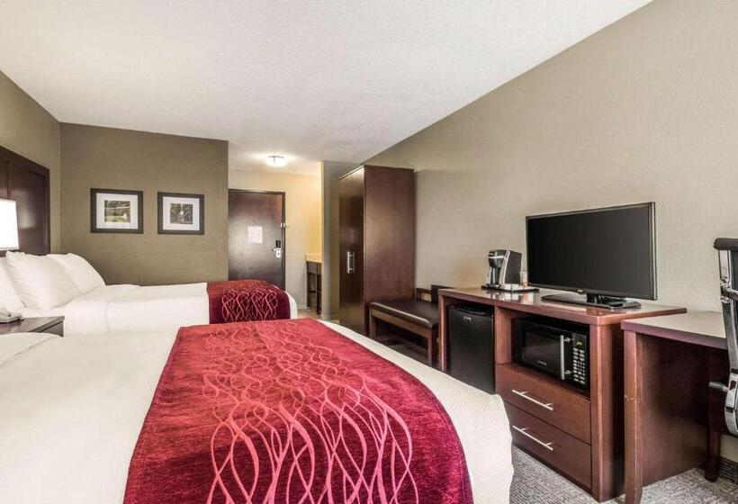 스탠다드 룸, Comfort Inn Ottawa Starved Rock Area