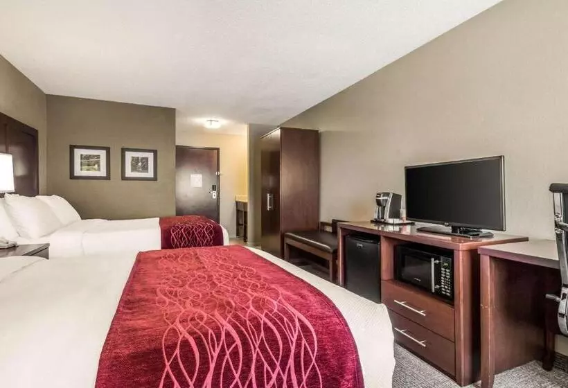 Standard-huone, Comfort Inn Ottawa Starved Rock Area