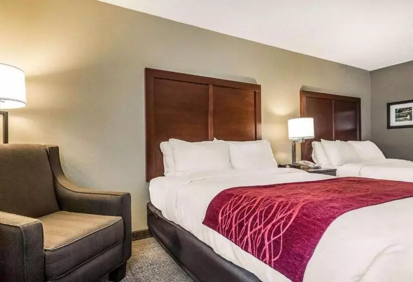 Standard-huone, Comfort Inn Ottawa Starved Rock Area