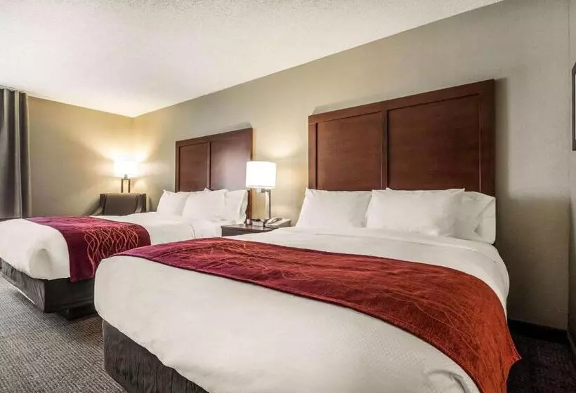 Standard-huone, Comfort Inn Ottawa Starved Rock Area