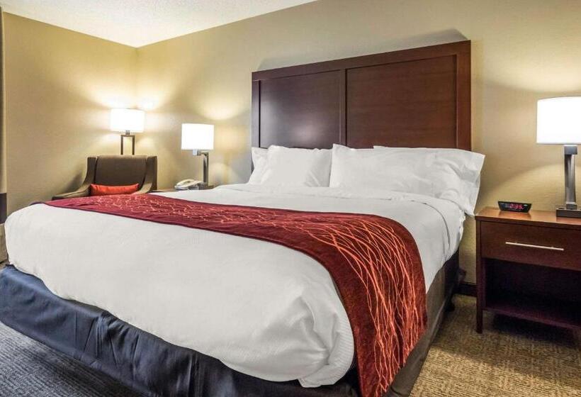 身障者適用スタンダードルーム, Comfort Inn Ottawa Starved Rock Area