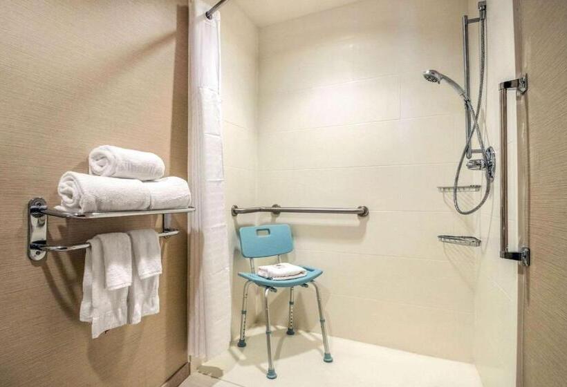 身障者適用キングサイズベッドルーム, Comfort Inn Ottawa Starved Rock Area