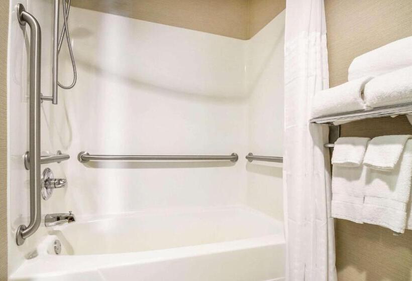 身障者適用キングサイズベッドルーム, Comfort Inn Ottawa Starved Rock Area