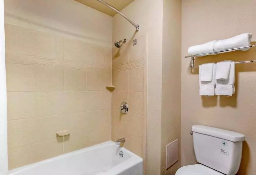 キングサイズベッドのスタンダードルーム, Comfort Inn Payson